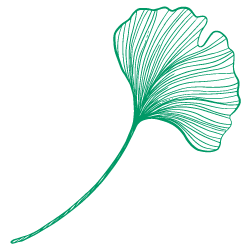 Ginkgo
